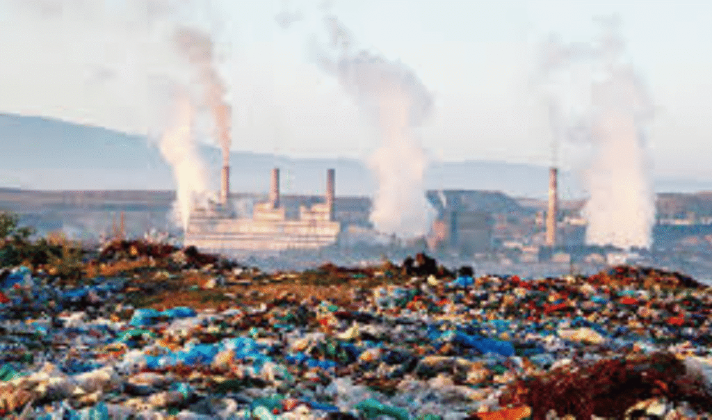 solid waste management